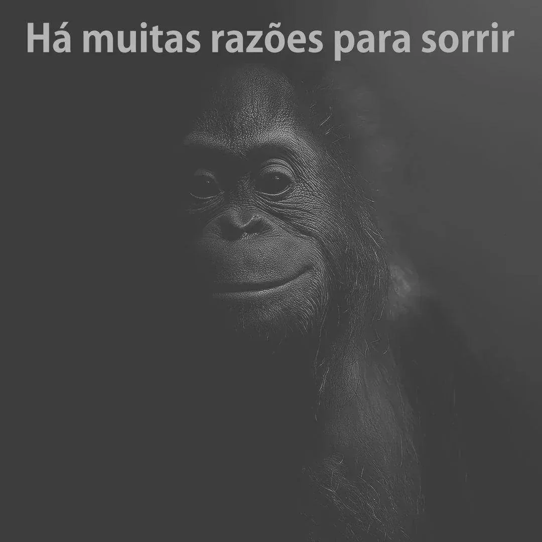 Mídia enviada no comentário