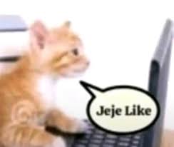 Mídia enviada no comentário