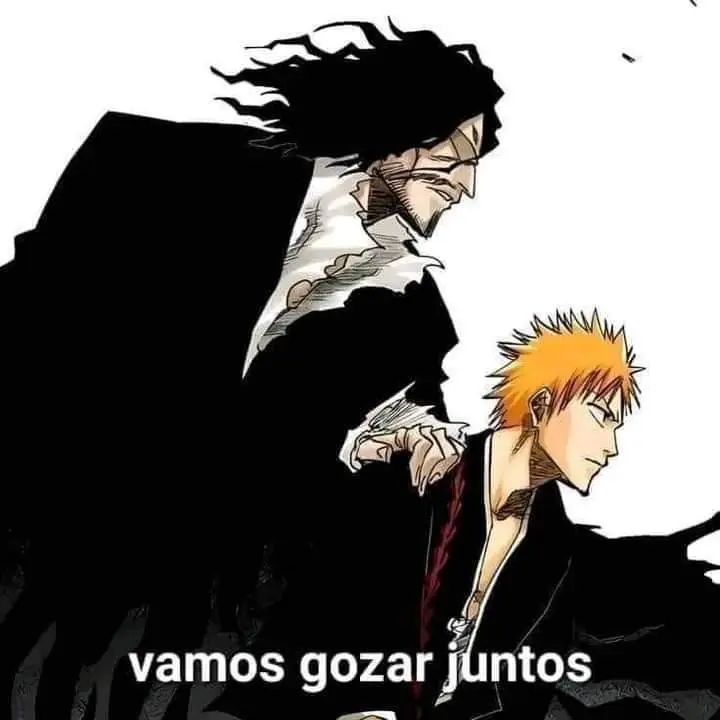 Mídia enviada no comentário
