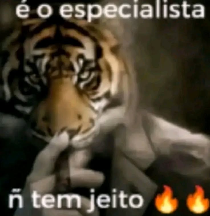 Mídia enviada no comentário