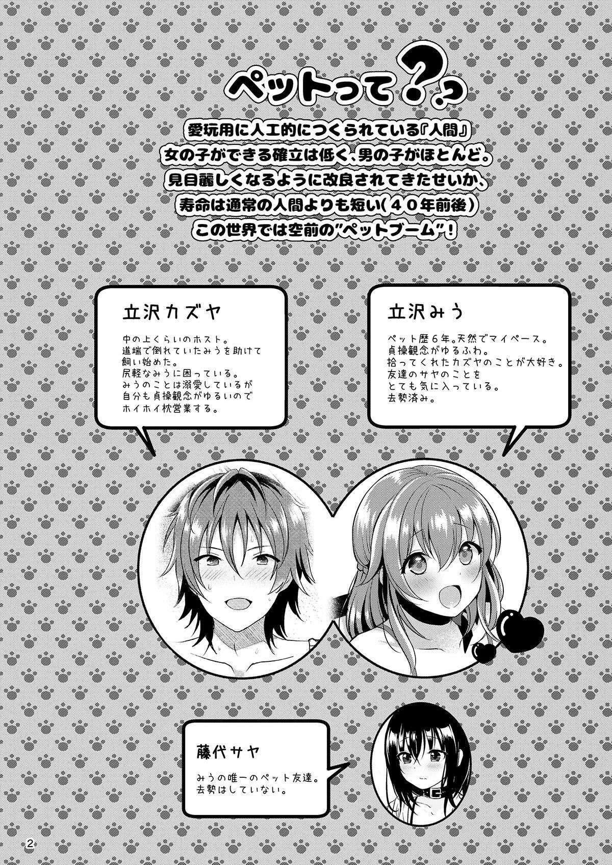 Vida de Mascote ~Miu no Otsukai~ - Foto 3