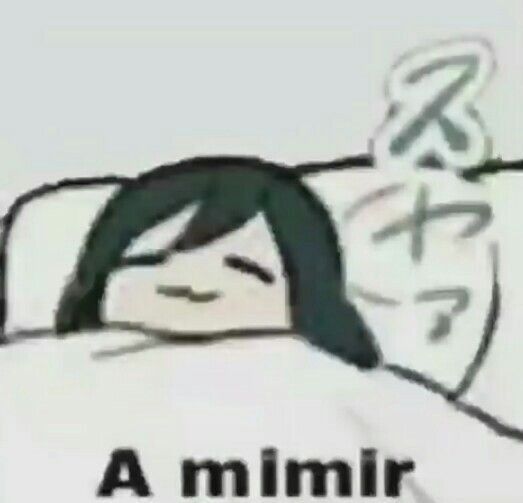 Mídia enviada no comentário