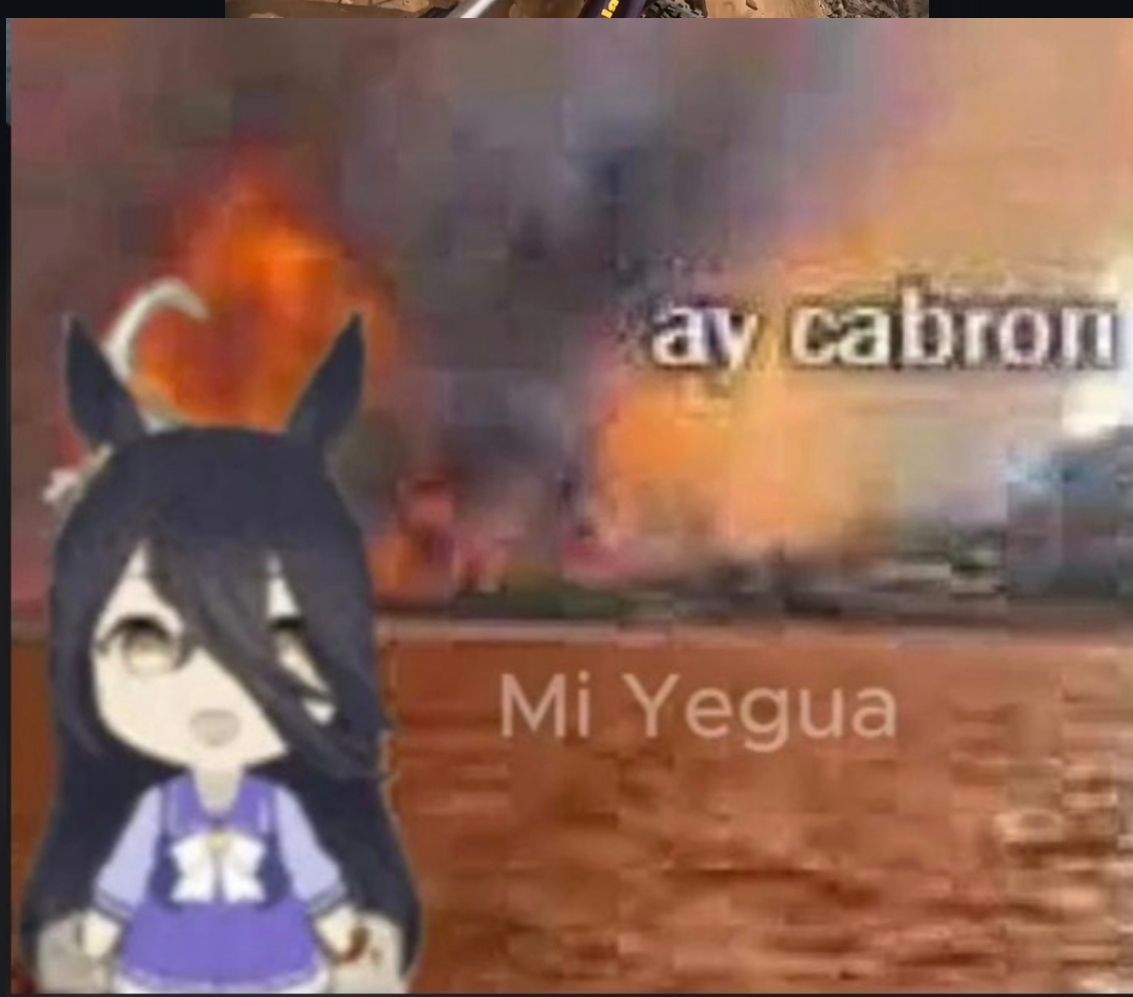 Mídia enviada no comentário