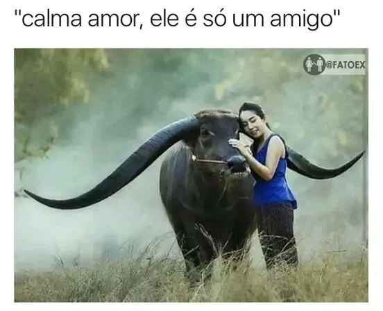 Mídia enviada no comentário