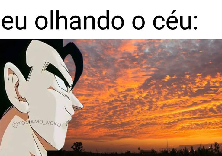 Mídia enviada no comentário