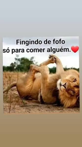 Mídia enviada no comentário