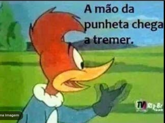 Mídia enviada no comentário